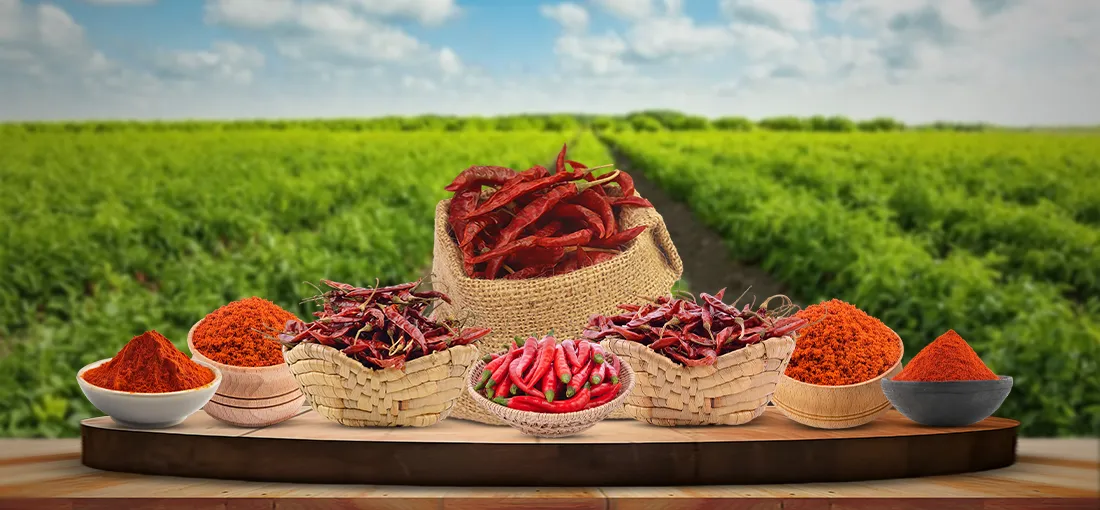 Dried Red Chilli